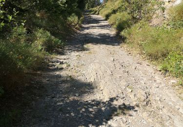 Tour Nordic Walking Arbaz - bisse d'Ayen  - Photo