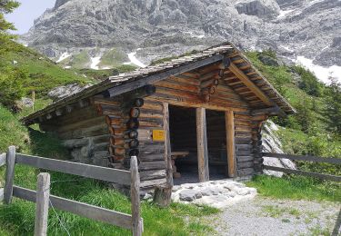 Randonnée A pied Grindelwald - Grosse Scheidegg - Scheidegg / Oberläger - Photo
