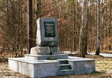 Trail On foot  - Szlak pamięci ofiar hitlerowskiego ludobójstwa - Photo