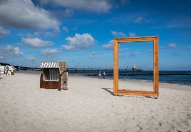 Tocht Te voet Zingst - Terrainkurweg - Waldweg - Photo