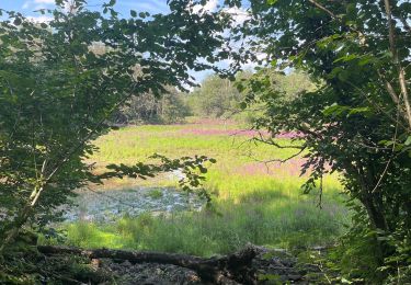 Tour Wandern Écromagny - Ecromagny  - Photo