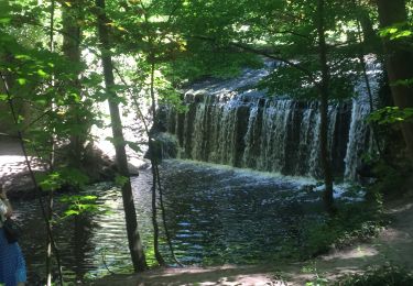 Trail Walking Senlisse - Les Vaux de Cernay  - Photo