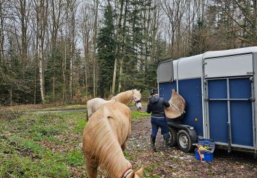 Tocht Paardrijden Baccarat - balade du 30 mars - Photo