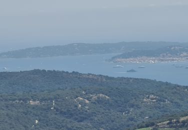 Tour Wandern La Garde-Freinet - la Garde-Freinet- notre dame de miremer - Photo