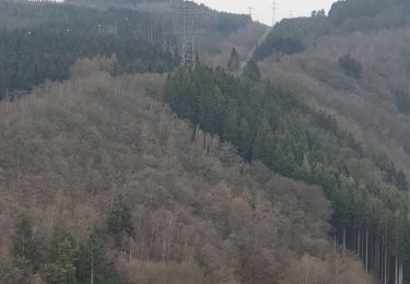 Randonnée Marche La Roche-en-Ardenne - rando warempage 10/12/2020 - Photo