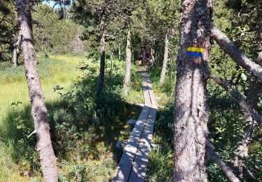 Trail Walking Chapelle-des-Bois - Le tour du lac des mortes. - Photo