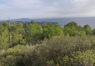 Tocht Stappen Saint-Cyr-sur-Mer - 3 pics Saint Cyr sur Mer  - Photo