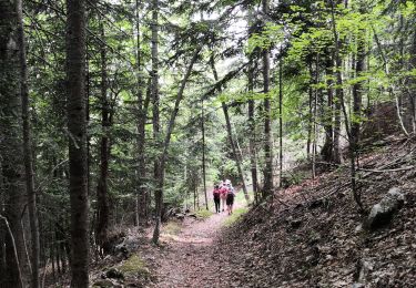 Trail Walking Gresse-en-Vercors - gresse deux soeurs - Photo