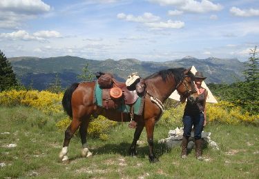Trail Horseback riding Saint-Étienne-les-Orgues - Les Granges - Notre Dames de Lure - Photo