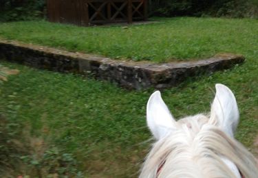 Trail Horseback riding Métairies-Saint-Quirin - rond pré baronnie kiosque point de vue  - Photo