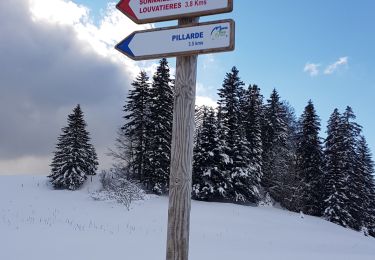 Trail Cross-country skiing Gex - Sonnaillyais - Photo