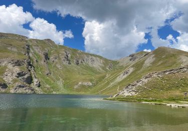 Trail Walking Aiguilles - Malrif 2024 - Photo