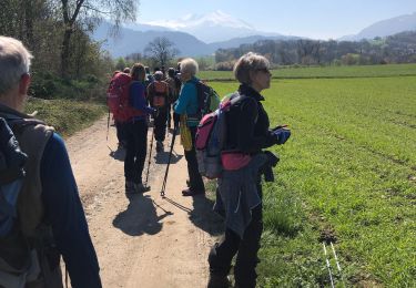 Tour Wandern Jarrie - Harry 04-04-2022 - Photo