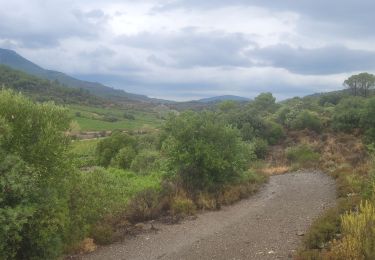 Excursión Senderismo Tuchan - touchant château d'Alguilar - Photo