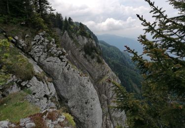 Tocht Stappen Autrans-Méaudre en Vercors - bec d'orient 2020 - Photo