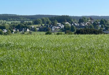 Tocht Stappen Libramont-Chevigny - Bras - Photo