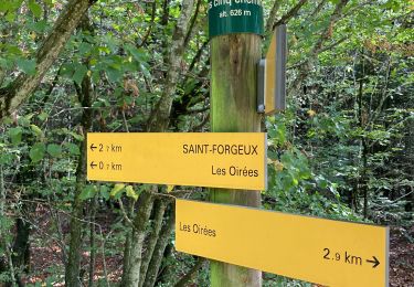 Trail Walking Saint-Forgeux - 69 St forgeux - Photo