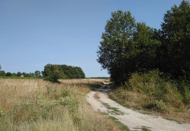 Tocht Stappen Montlouis-sur-Loire - Montlouis-sur-Loire - Lussault-sur-Loire - 2016 08 14 - 12.5km 2h30mn - Photo