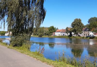 Randonnée Marche Antoing - L'air du grand Large et le bois de Péronnes - Photo