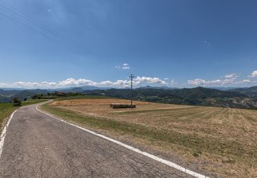 Randonnée A pied Canossa - Vedriano - La Strada - M. Staffola - Braglie - Costa - Photo