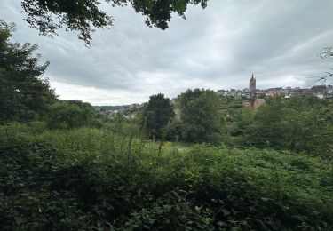 Tocht Stappen Thuin - Thuin vallée de la Biesmelle 16 km - Photo