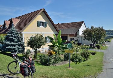 Percorso A piedi Klöch - Klöcher Traminerweg - Photo