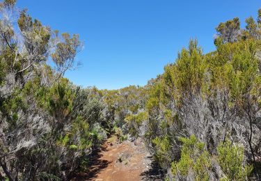 Trail Walking Entre-Deux - Entre-Deux - Sentier Inard (boucle) - Photo