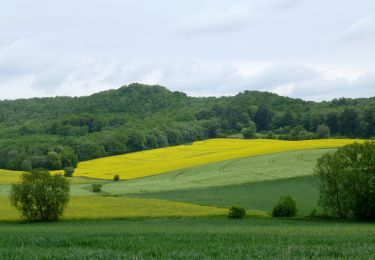 Tocht Te voet Gleichen - Mackenröder Rundweg - Photo