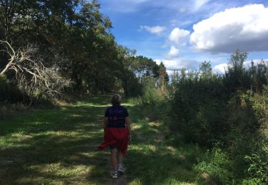 Trail Walking Sarzeau - 2019-09-10 GR 34 KERHARS - ST COLOMBIER  - Photo