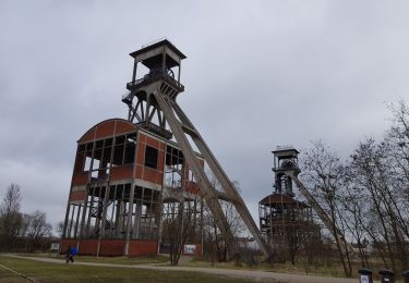 Tocht Stappen Maasmechelen - Maasmechelen - Site minier Connecterra - Photo