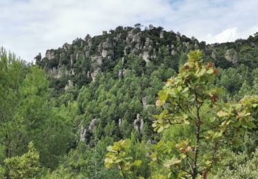 Randonnée Marche La Roquebrussanne - La Roquebrussane - Les Orris - Photo