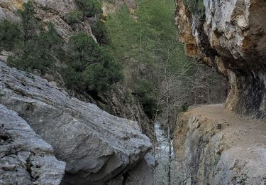 Trail Walking Estoublon - estoublon sentier des oliviers gorges trevans 21k 950m  - Photo