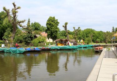 Tour Zu Fuß Lübbenau/Spreewald - Naturlehrpfad Rund um Lehde - Photo