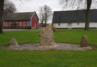 Randonnée A pied  - Vandreruter i Arrild Ferieby, orange - Photo