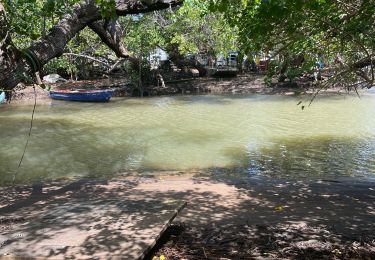 Percorso Camminata nordica La Trinité - Usine du Galion - les étangs - mangrove  Woz  - Photo