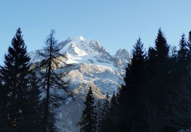 Percorso Sentiero Chamonix-Mont-Blanc - lac blanc par col des montets + aiguille plate  - Photo