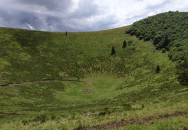 Tocht Stappen Orcines - le Cliersou - Photo