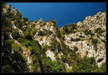 Randonnée A pied Évenos - Du Revest à Ollioules - Photo