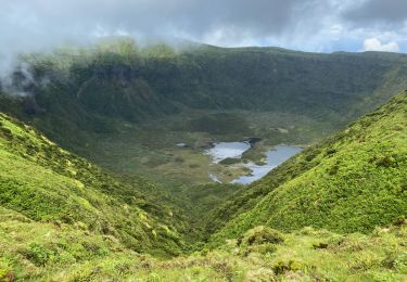 Percorso Marcia Flamengos - FAI GR01 : De volcan en volcan, Faial, Azores - Photo