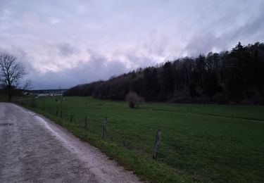 Excursión Senderismo Vouthon-Haut - Sus au foie gras et au sauterne - Photo