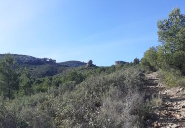 Percorso Marcia La Ciotat - la Ciotat grotte Fardeloup - Photo