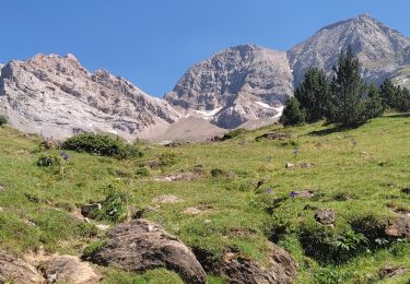 Tocht Stappen Gavarnie-Gèdre - Gavarnie  - Photo