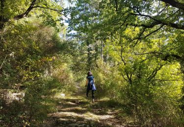 Trail Walking Soubès - Soubès Camin Ferrat - Photo