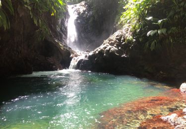 Tocht Stappen Bouillante - Cascade bois malasé - Photo