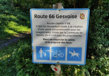Tour Wandern Gesves - un samedi a Gesvres.  ????? - Photo