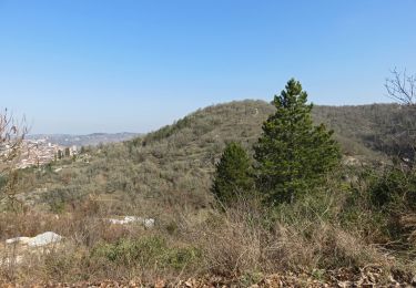 Trail Walking Cahors - Randonnée du 06/03/2022 à 14:52 - Photo