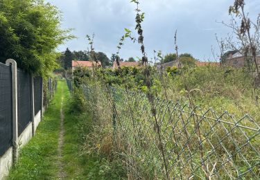 Tocht Stappen Vloesberg - Flobecq 15,1 km - Photo