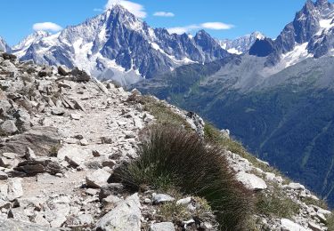 Excursión Senderismo Chamonix-Mont-Blanc - brevent aiguilkettes - Photo