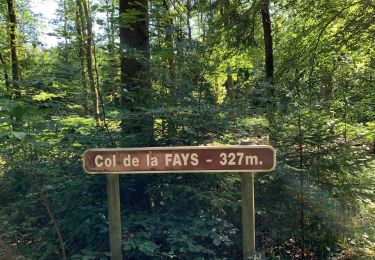 Trail Walking Vresse-sur-Semois - Alle - Vresse H/T 22 km - Photo