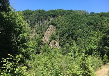 Tocht Stappen La Roche-en-Ardenne - Barrage nasradin  - Photo